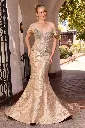 cd641_gold_front (1).webp
