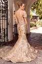 cd641_gold_back.webp
