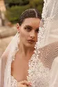 V63e_veil-cape.webp